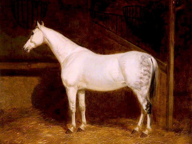 Wikioo.org - The Encyclopedia of Fine Arts - Painting, Artwork by John E Ferneley I - A Grey Hunter in a Stable