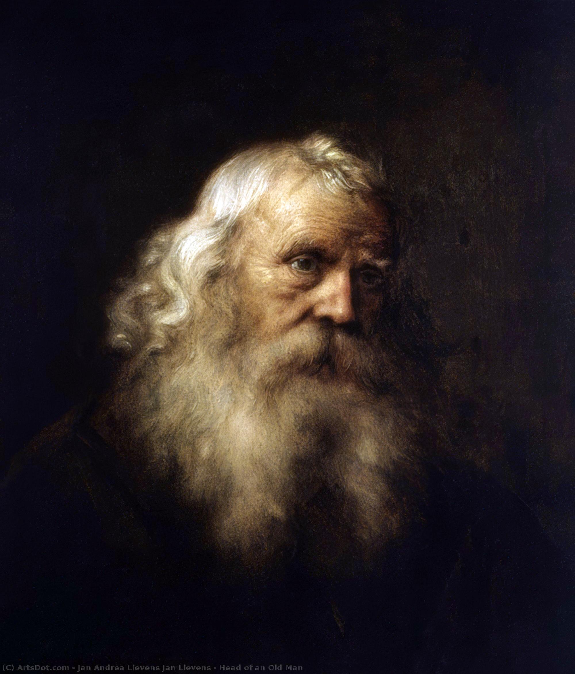 Wikioo.org - The Encyclopedia of Fine Arts - Painting, Artwork by Jan Andrea Lievens - Head of an Old Man