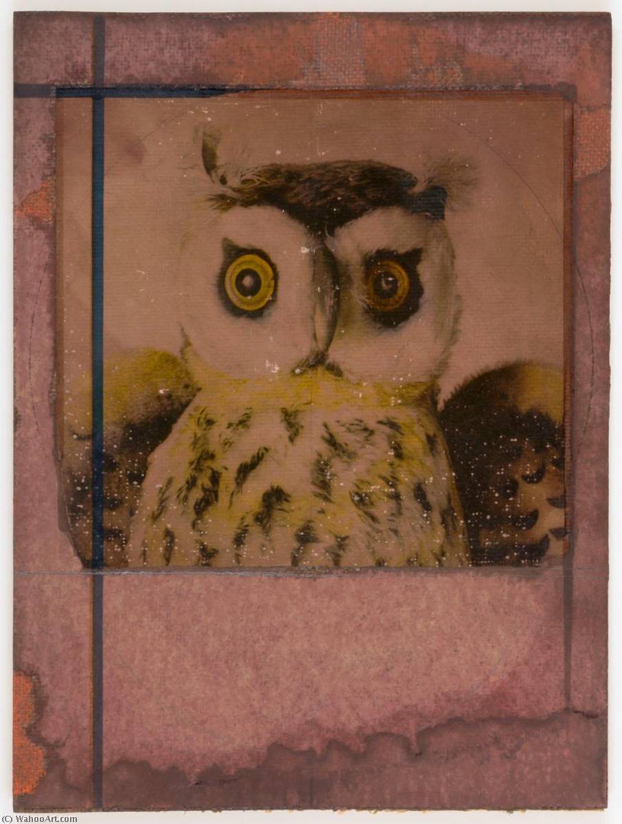 Wikioo.org - The Encyclopedia of Fine Arts - Painting, Artwork by Joseph Cornell - Untitled (close up of owl)