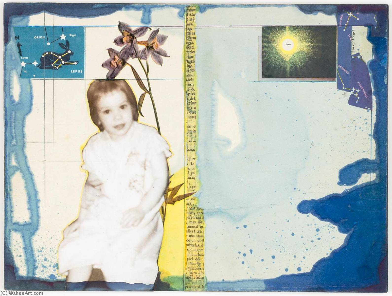Wikioo.org - The Encyclopedia of Fine Arts - Painting, Artwork by Joseph Cornell - Untitled (Sharon)