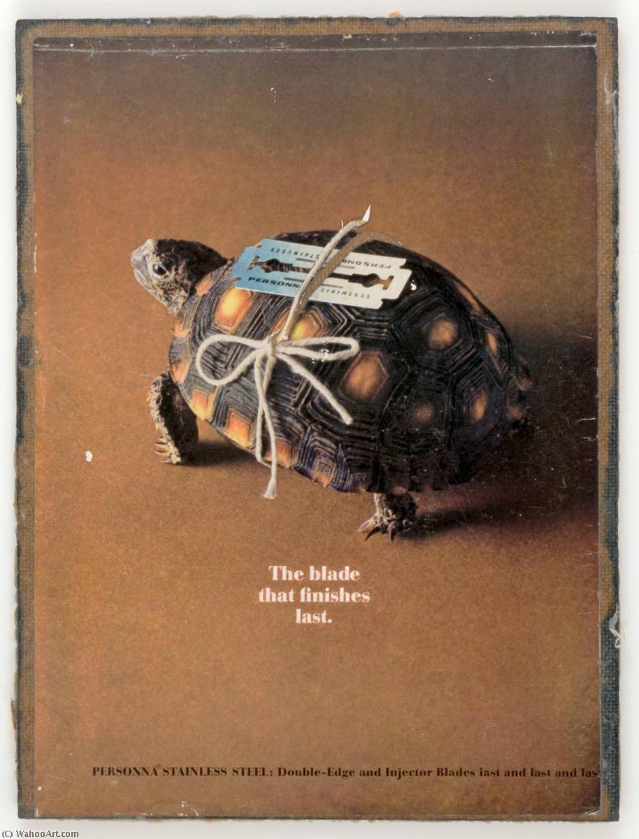 Wikioo.org - The Encyclopedia of Fine Arts - Painting, Artwork by Joseph Cornell - Untitled (turtle with double edged razor)