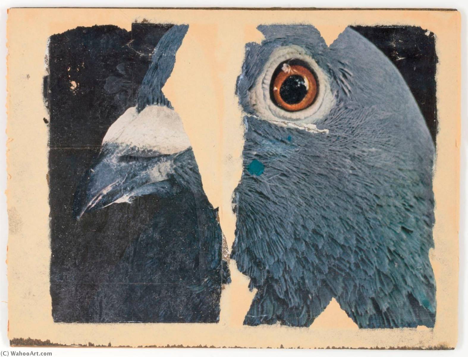 WikiOO.org - Encyclopedia of Fine Arts - Maleri, Artwork Joseph Cornell - Untitled (pigeon head)