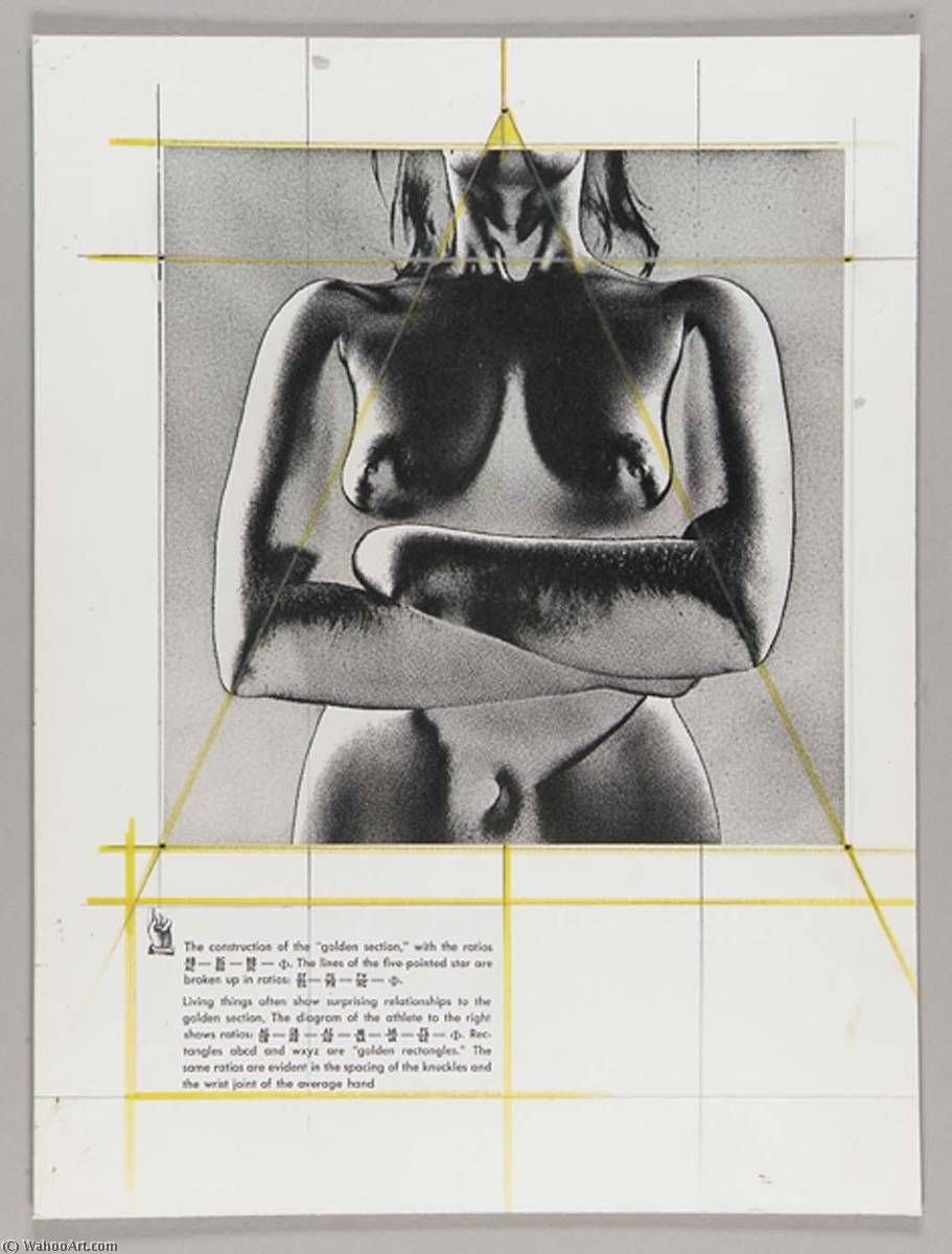 WikiOO.org - Enciklopedija likovnih umjetnosti - Slikarstvo, umjetnička djela Joseph Cornell - Untitled (nude female torso, solarized)