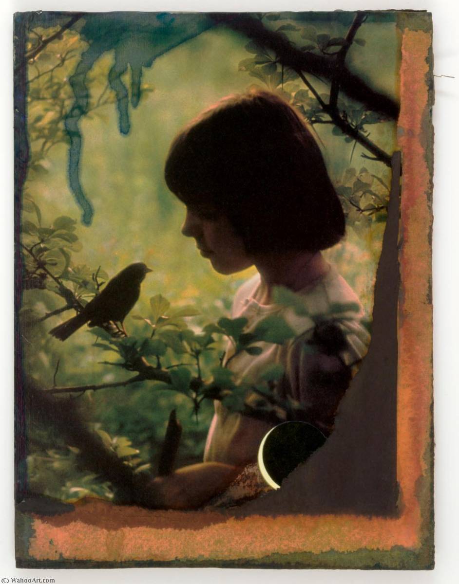 Wikioo.org - The Encyclopedia of Fine Arts - Painting, Artwork by Joseph Cornell - Untitled (girl in woods looking at bird on tree branch)