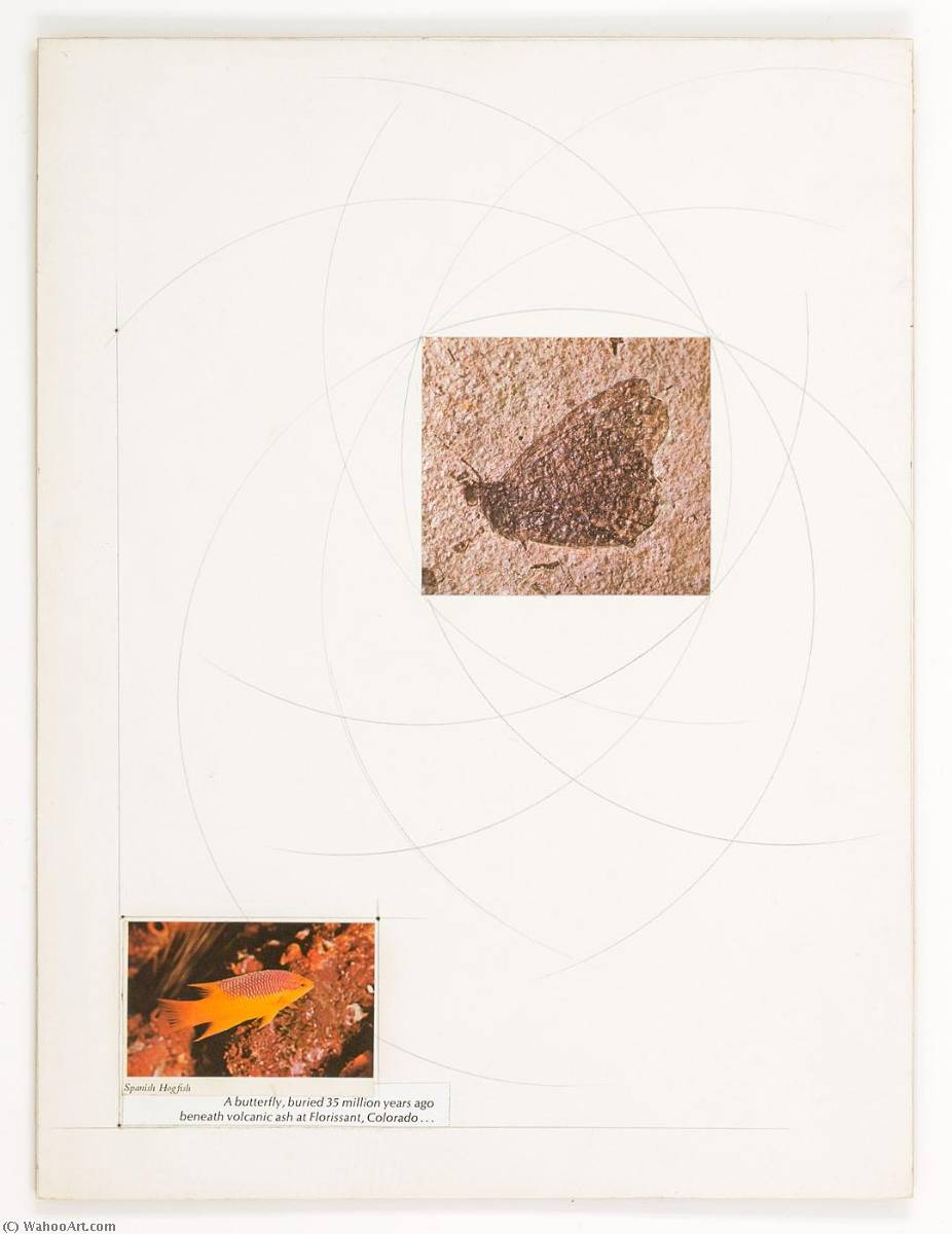 WikiOO.org - Encyclopedia of Fine Arts - Maľba, Artwork Joseph Cornell - Untitled (fossilized butterfly)