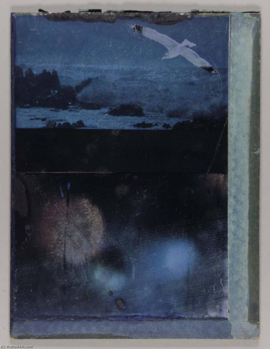Wikioo.org - The Encyclopedia of Fine Arts - Painting, Artwork by Joseph Cornell - Untitled (seagull in flight over rocky seashore)