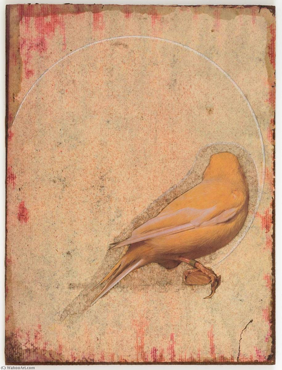 Wikioo.org - The Encyclopedia of Fine Arts - Painting, Artwork by Joseph Cornell - Untitled (yellow canary with back turned)