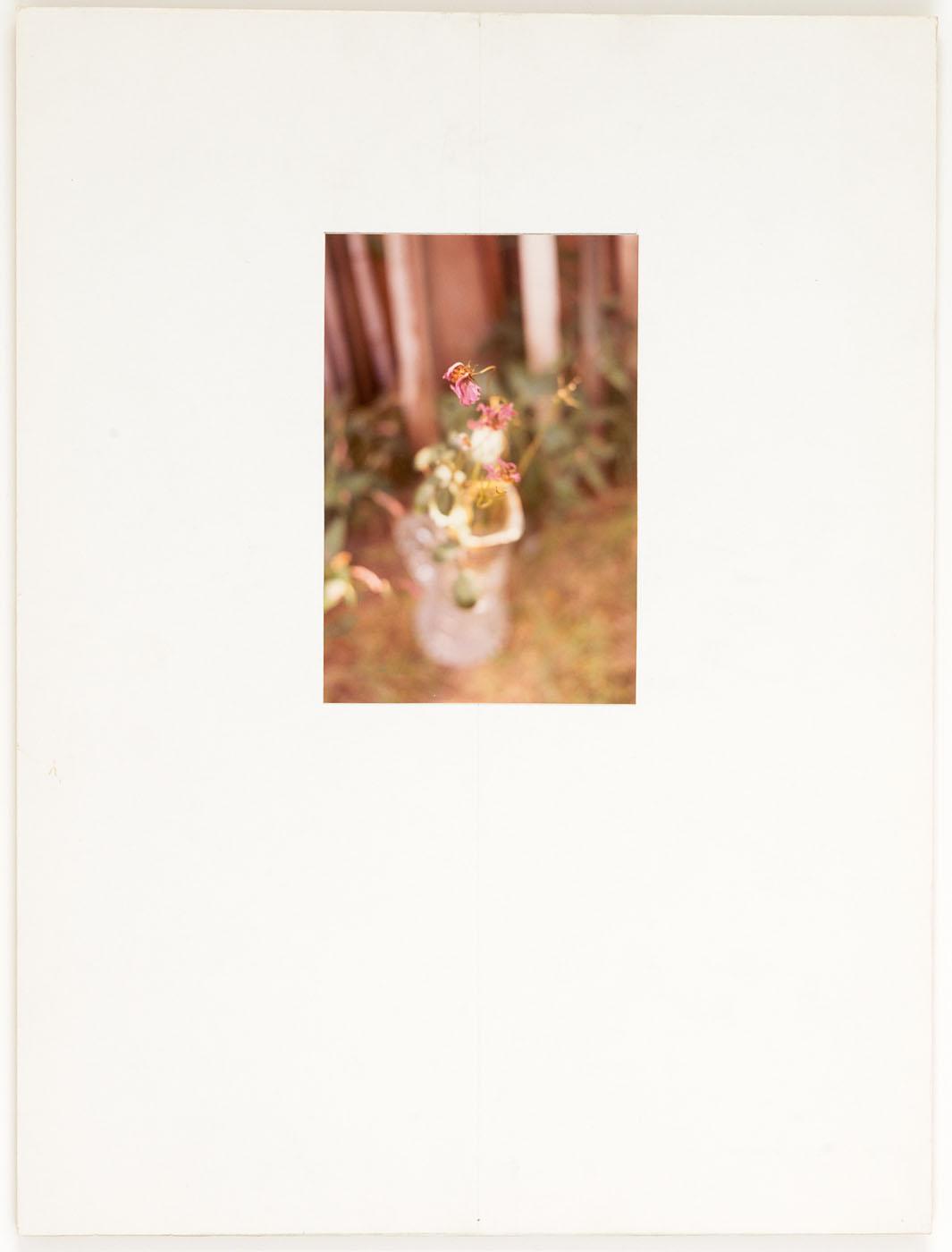 Wikioo.org - สารานุกรมวิจิตรศิลป์ - จิตรกรรม Joseph Cornell - Untitled (flowers near wooden fence)
