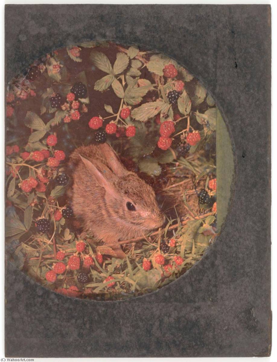 Wikioo.org - The Encyclopedia of Fine Arts - Painting, Artwork by Joseph Cornell - Untitled (rabbit in raspberry patch)