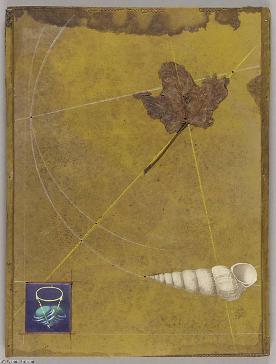 Wikioo.org - สารานุกรมวิจิตรศิลป์ - จิตรกรรม Joseph Cornell - Untitled (diagram of axis of spinning top)