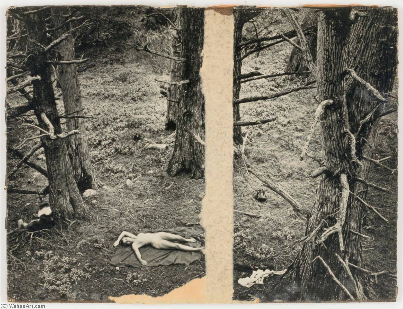 Wikioo.org - The Encyclopedia of Fine Arts - Painting, Artwork by Joseph Cornell - Untitled (nude on blanket on forest floor)