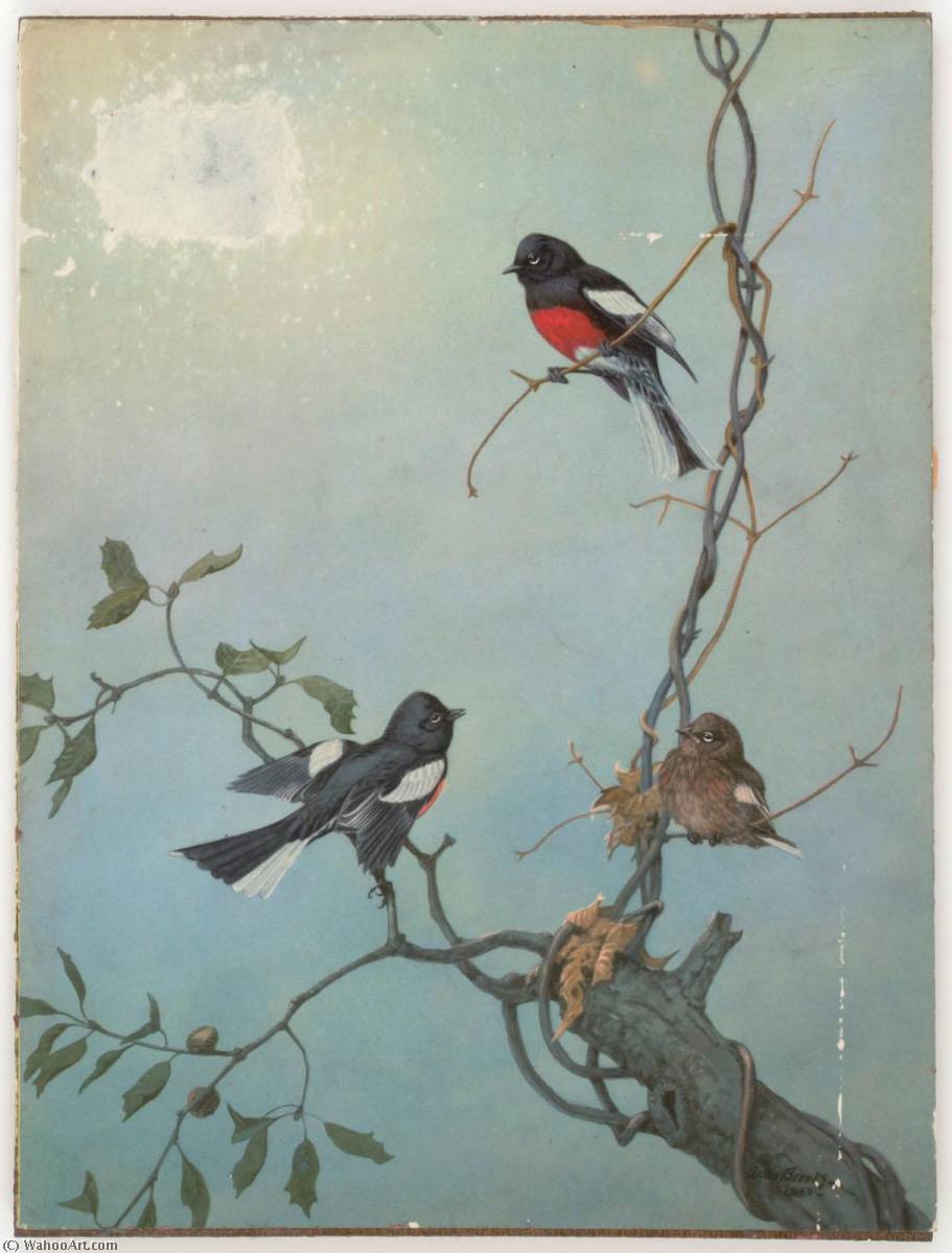 Wikioo.org - The Encyclopedia of Fine Arts - Painting, Artwork by Joseph Cornell - Untitled (three birds on tree branches against blue sky)