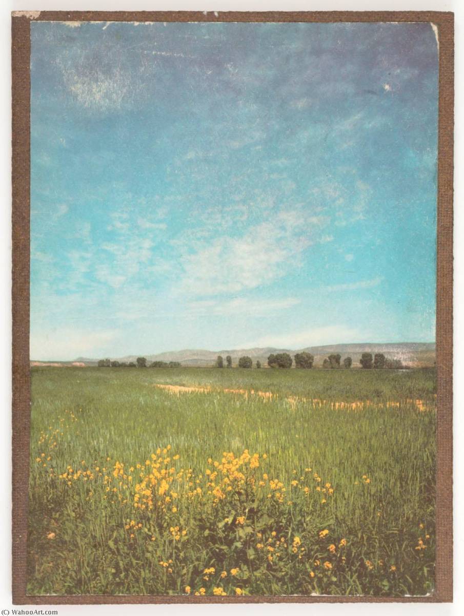 Wikioo.org - The Encyclopedia of Fine Arts - Painting, Artwork by Joseph Cornell - Untitled (field of green grass and yellow flowers)