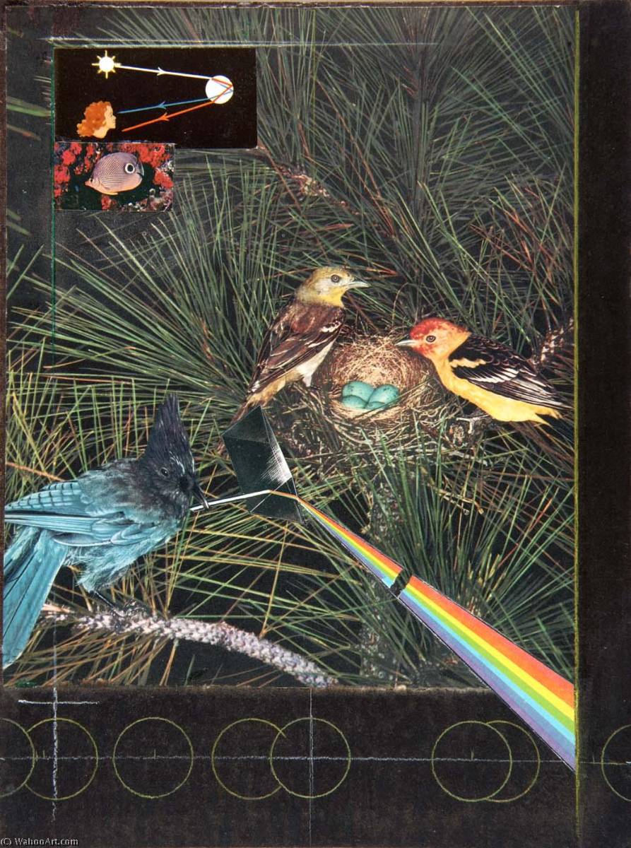 WikiOO.org - Enciklopedija likovnih umjetnosti - Slikarstvo, umjetnička djela Joseph Cornell - Untitled (How to Make a Rainbow, two multicolored birds with nest)