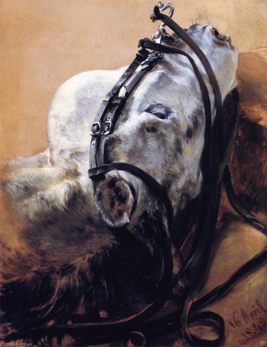 Wikioo.org - Encyklopedia Sztuk Pięknych - Malarstwo, Grafika Adolph Menzel - Head of Horse Wearing Bridle, Lying Down