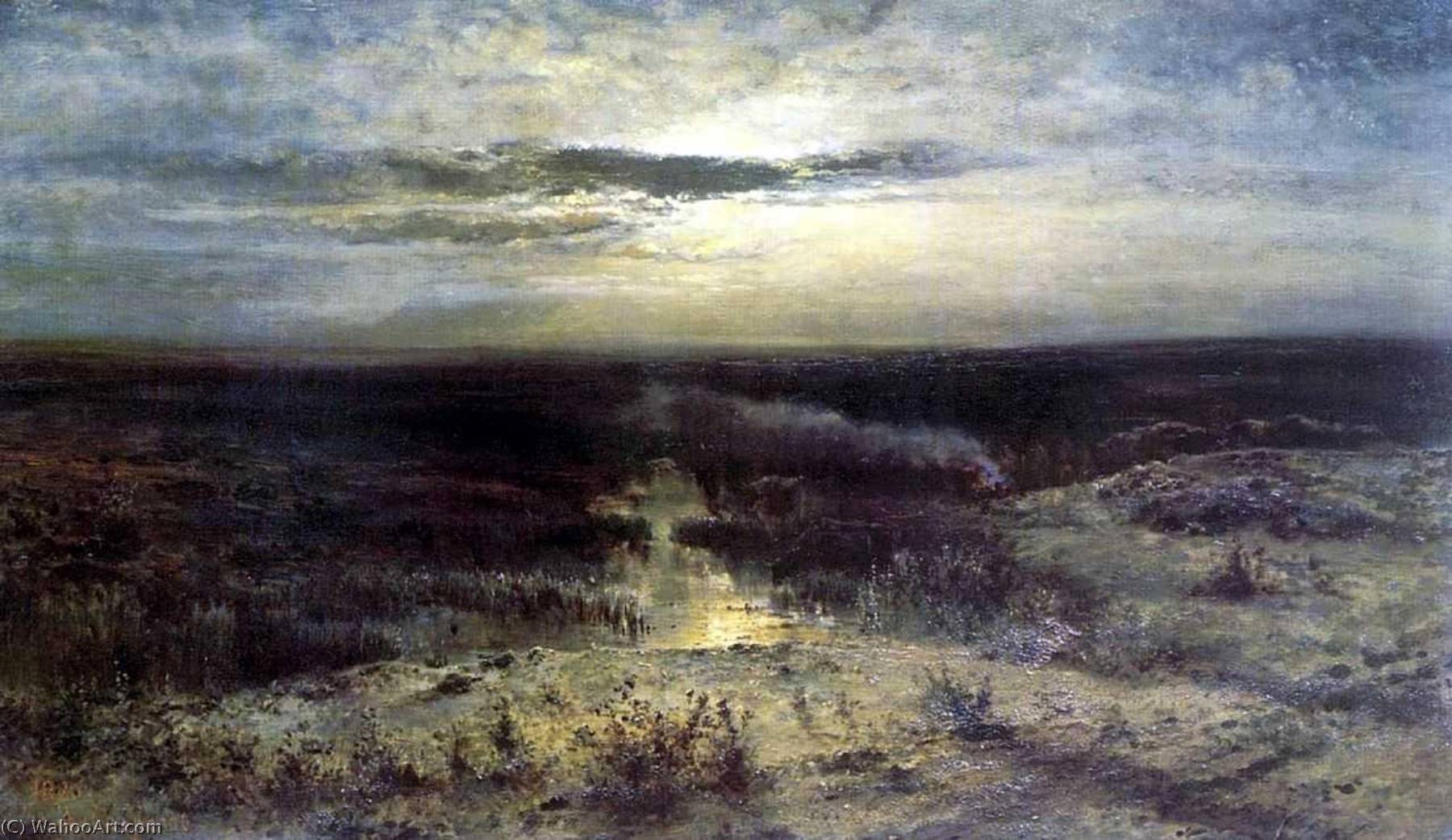 Wikioo.org - The Encyclopedia of Fine Arts - Painting, Artwork by Alexei Kondratyevich Savrasov - Moonlit night. Marsh