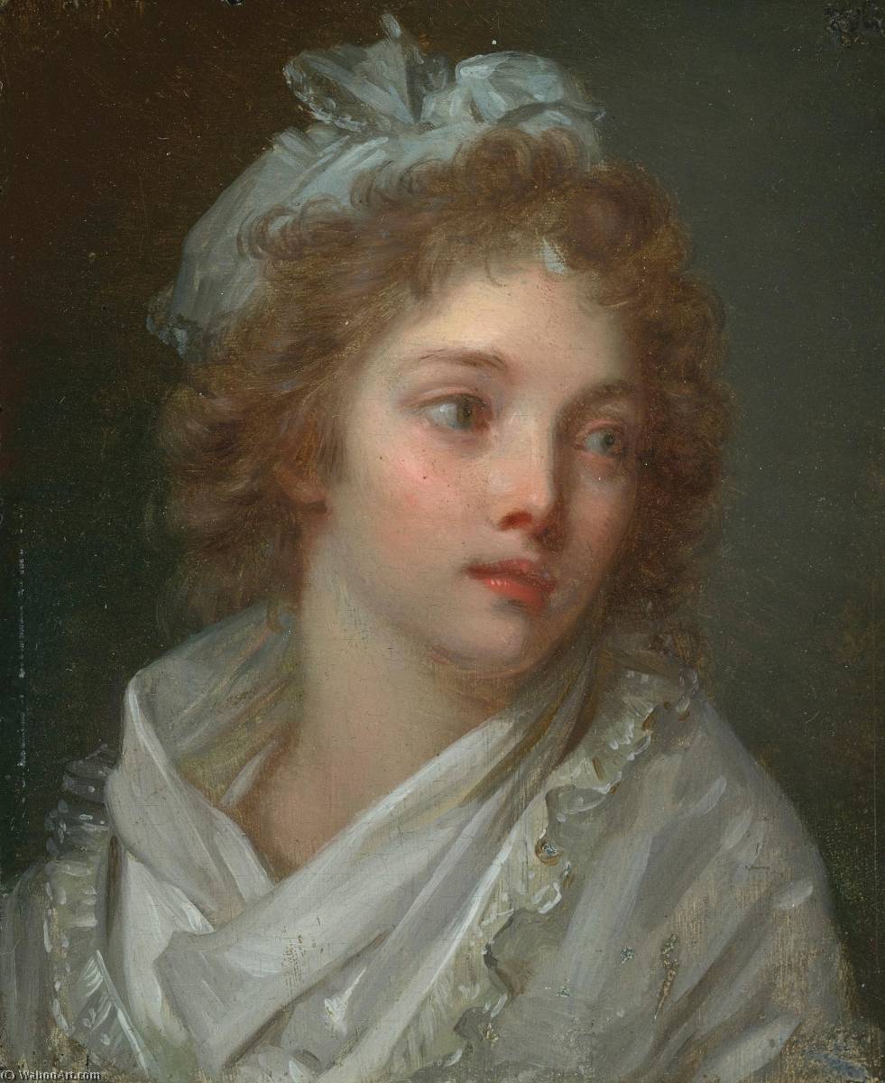 Wikioo.org - The Encyclopedia of Fine Arts - Painting, Artwork by Elisabeth-Louise Vigée-Lebrun - Portrait of a young lady