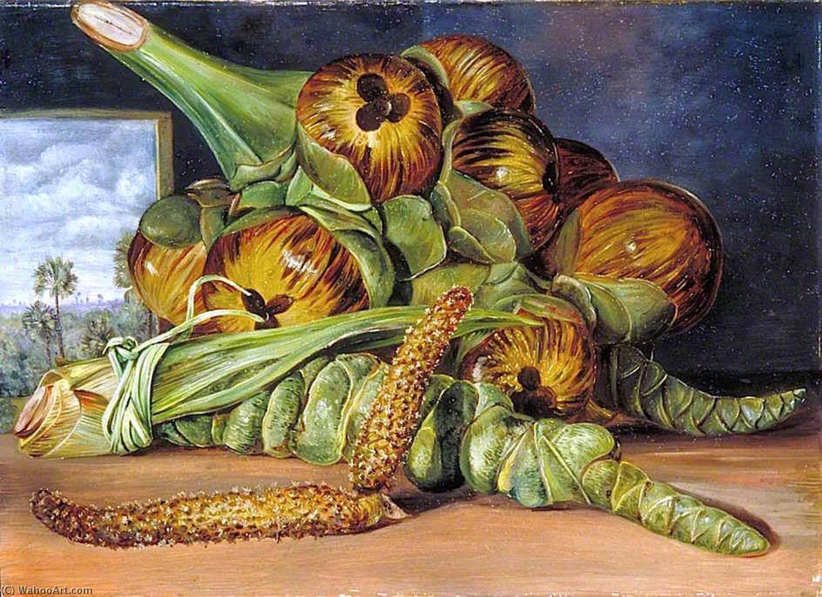 Wikioo.org - The Encyclopedia of Fine Arts - Painting, Artwork by Marianne North - Flowers and Fruit of the Palmyra, and the Palm Seen through a Window, Java