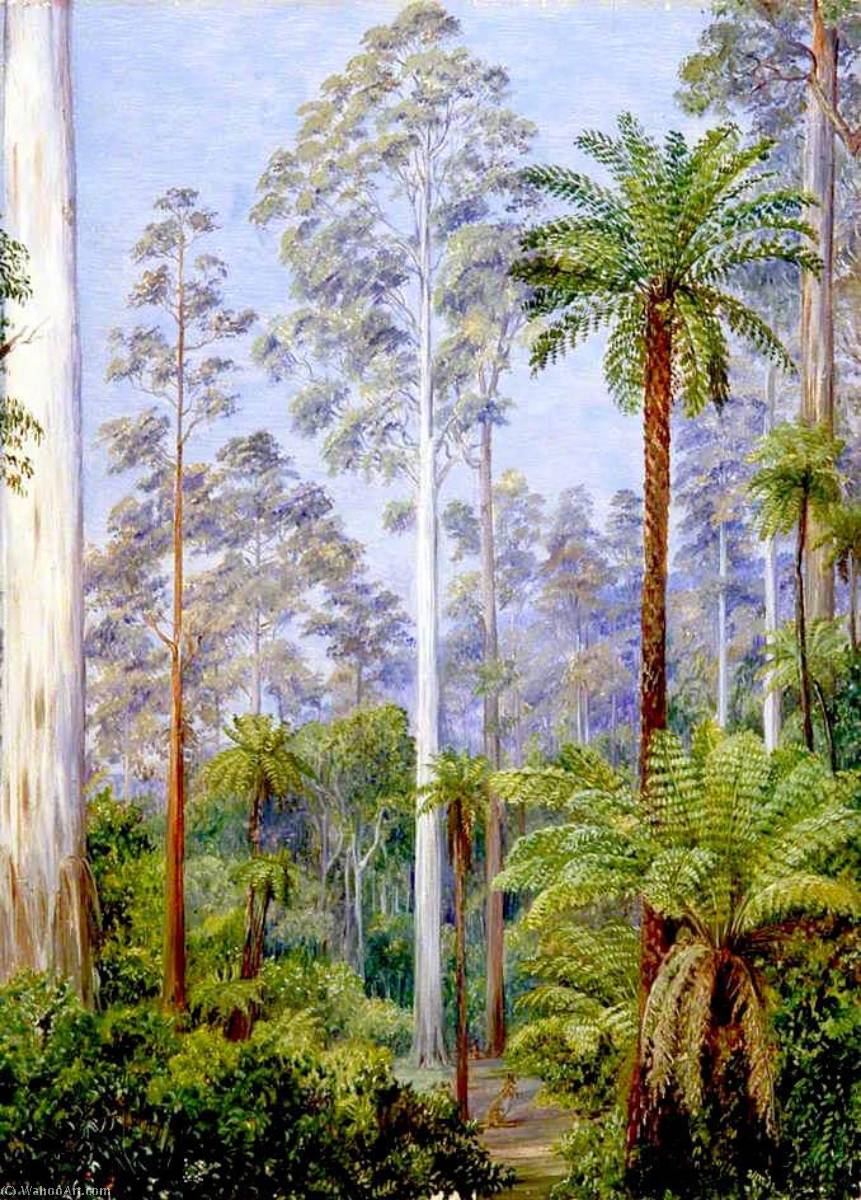 Wikioo.org - The Encyclopedia of Fine Arts - Painting, Artwork by Marianne North - Fernshaw, Victoria