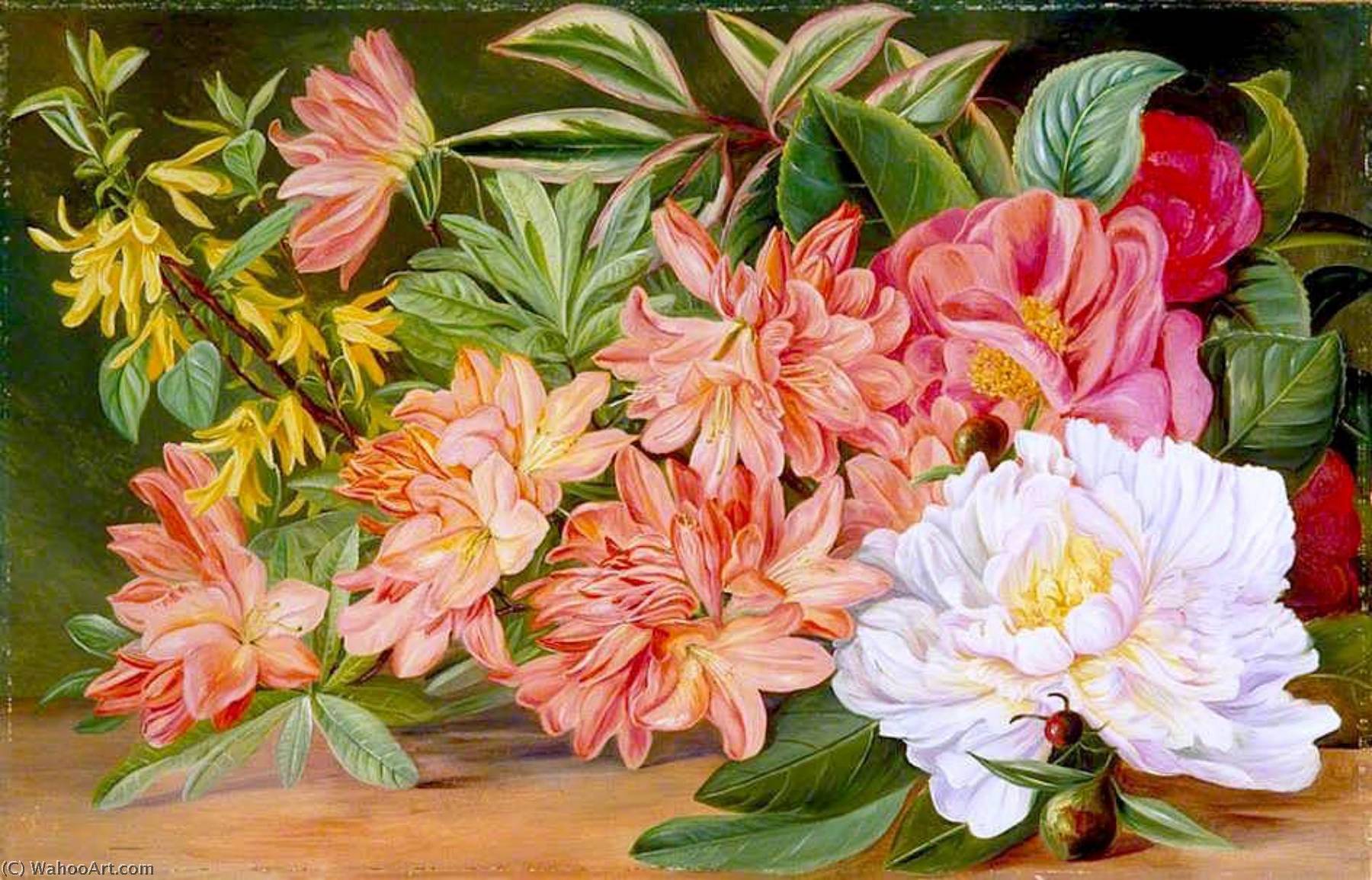 Wikioo.org - Bách khoa toàn thư về mỹ thuật - Vẽ tranh, Tác phẩm nghệ thuật Marianne North - Japanese Flowers
