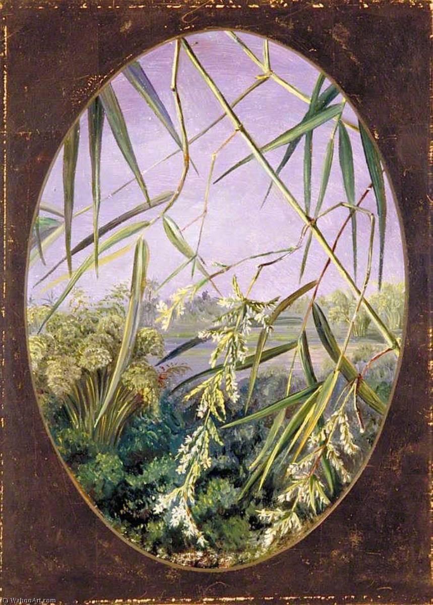 WikiOO.org - 百科事典 - 絵画、アートワーク Marianne North - の花 ザー 一般的 竹 と一緒に タフト の 植物 の後ろ