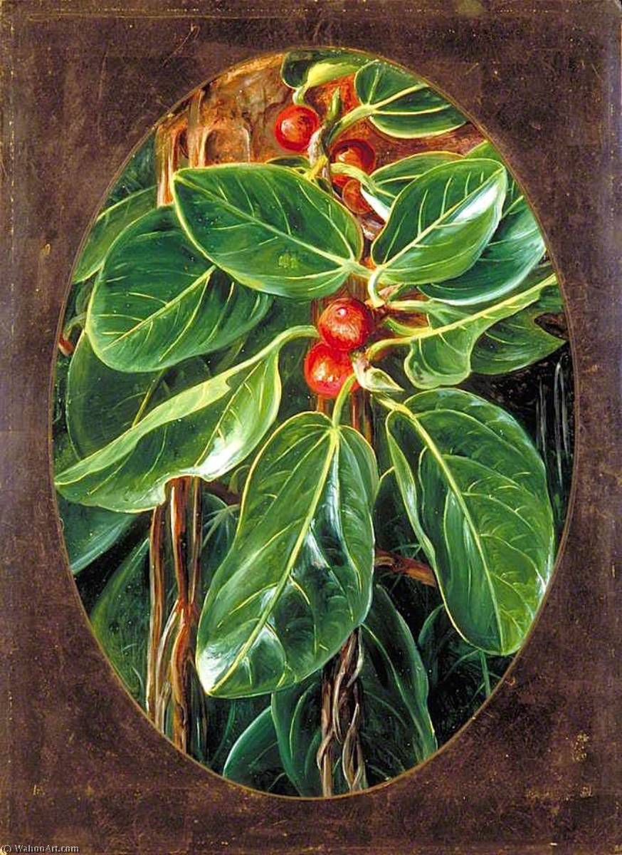 WikiOO.org - Encyclopedia of Fine Arts - Schilderen, Artwork Marianne North - Foliage and Fruit of the Banyan