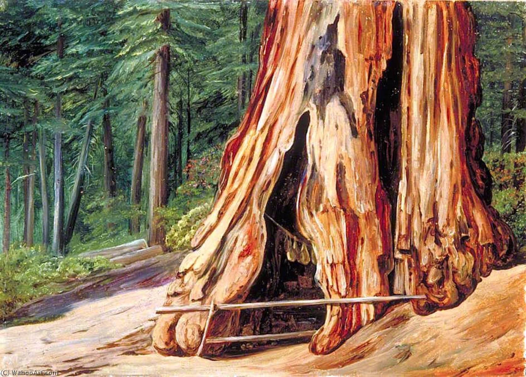 Wikioo.org - The Encyclopedia of Fine Arts - Painting, Artwork by Marianne North - Home of an Old Trapper in the Trunk of a Big Tree, Calaveras Grove, California