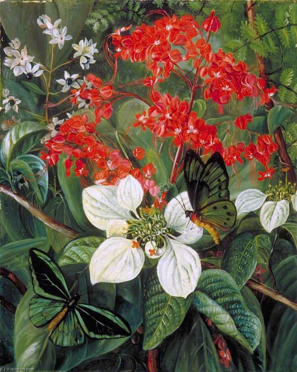 WikiOO.org - Encyclopedia of Fine Arts - Maľba, Artwork Marianne North - Flowers and Butterflies of Sarawak, Borneo