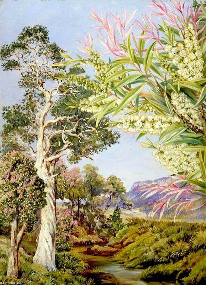 Wikioo.org - The Encyclopedia of Fine Arts - Painting, Artwork by Marianne North - Illawarra, New South Wales