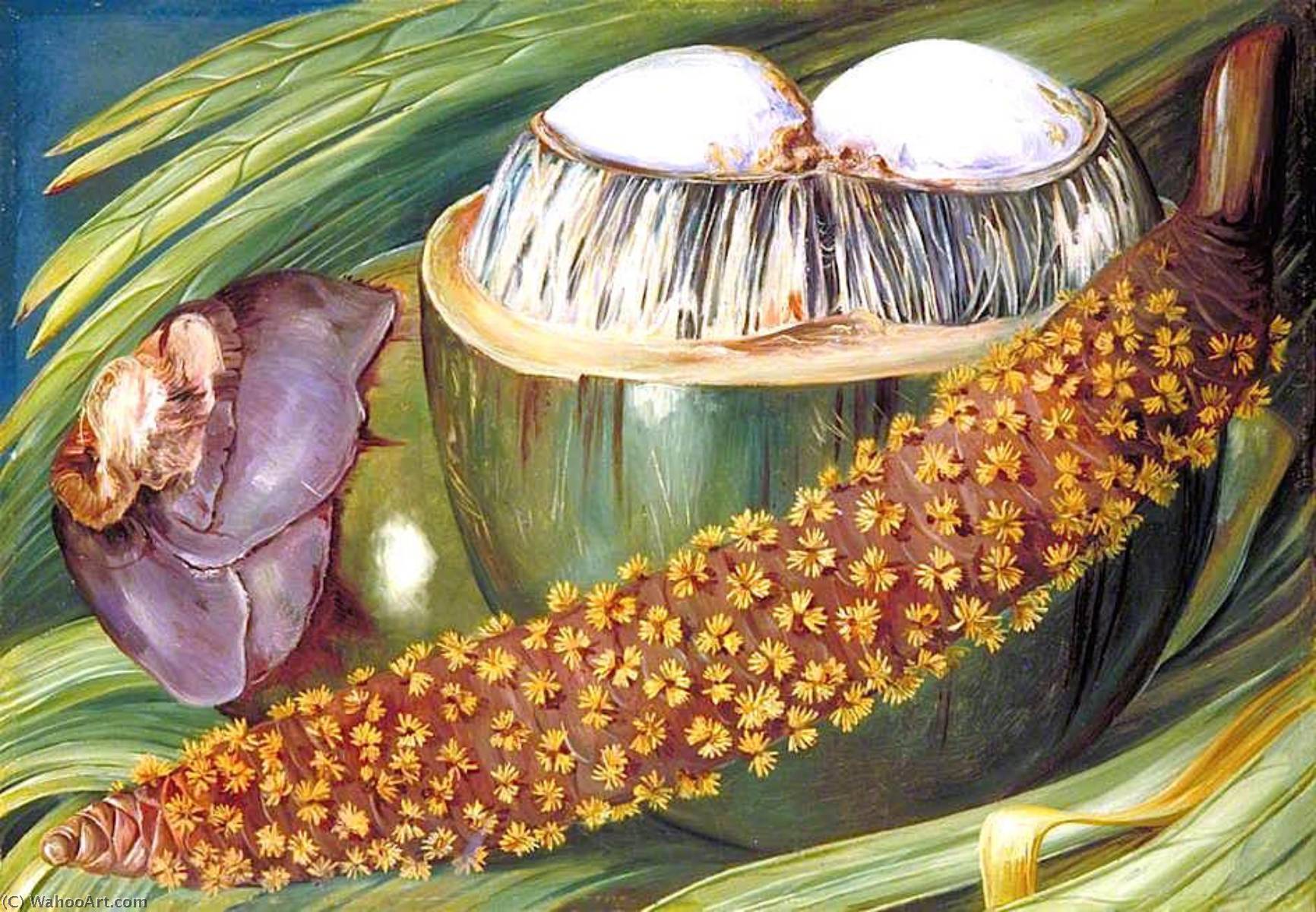 Wikoo.org - موسوعة الفنون الجميلة - اللوحة، العمل الفني Marianne North - Male Inflorescence and Ripe Nuts of the Coco de Mer, Seychelles