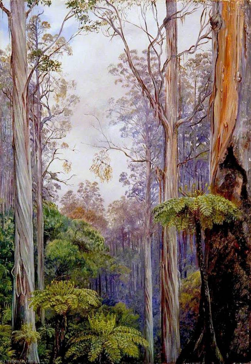 Wikioo.org - The Encyclopedia of Fine Arts - Painting, Artwork by Marianne North - Gum Trees and Tree Ferns, Victoria