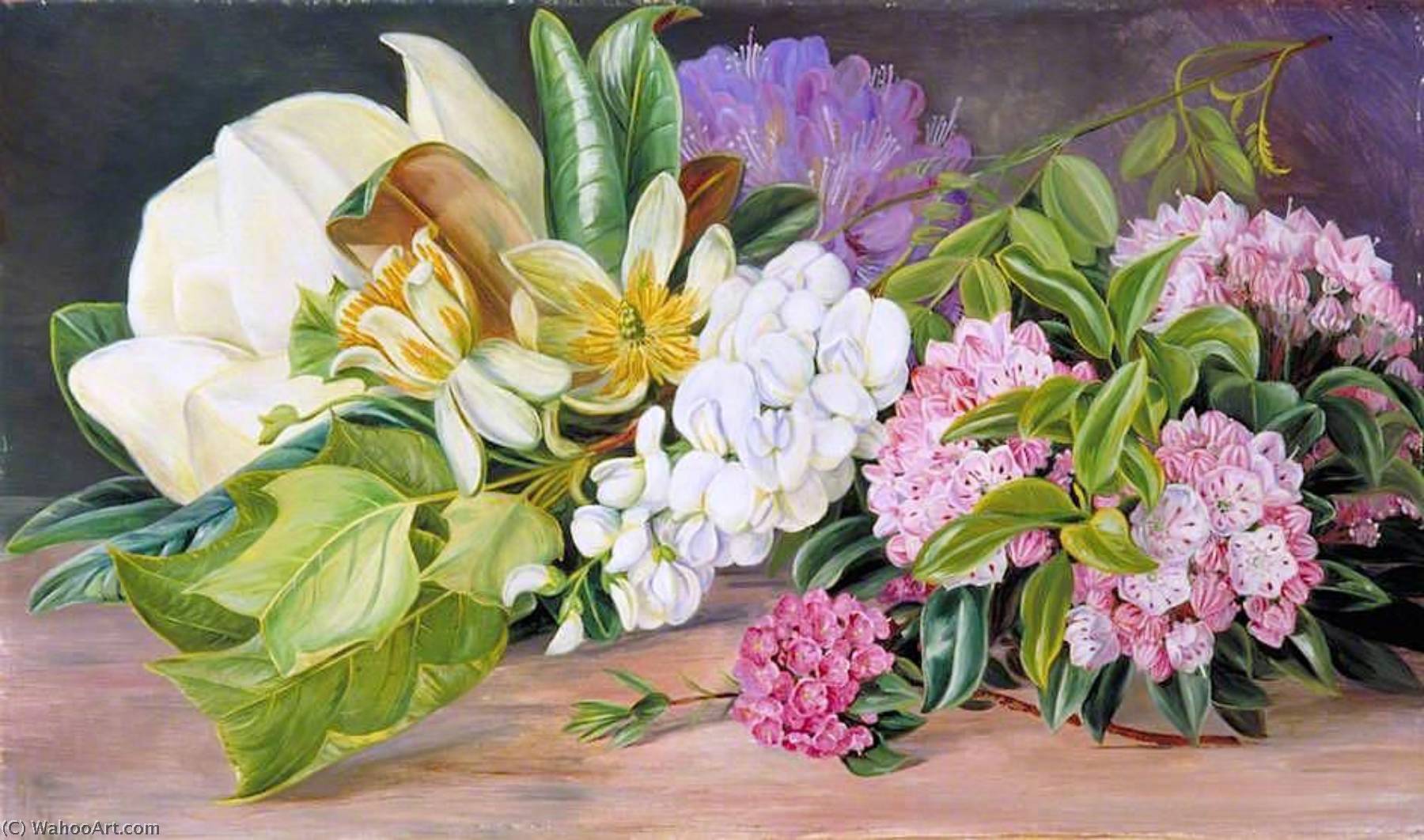 WikiOO.org - Encyclopedia of Fine Arts - Lukisan, Artwork Marianne North - Flowers of North American Trees and Shrubs