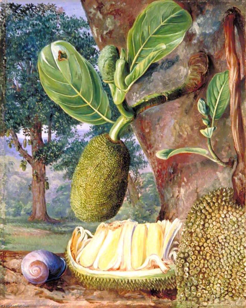 WikiOO.org - Enciclopédia das Belas Artes - Pintura, Arte por Marianne North - Jak Fruit, Singapore