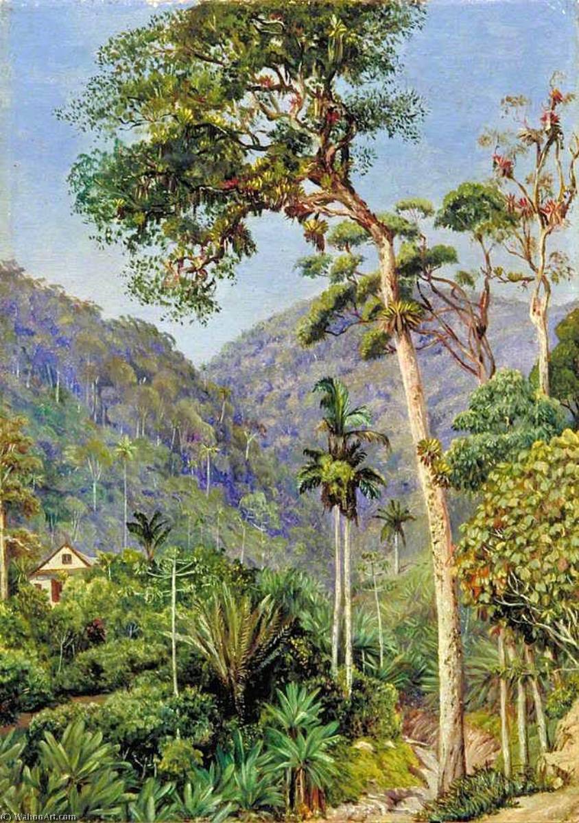 WikiOO.org - אנציקלופדיה לאמנויות יפות - ציור, יצירות אמנות Marianne North - Glimpse of Mr Weilhorn's House at Petropolis, Brazil