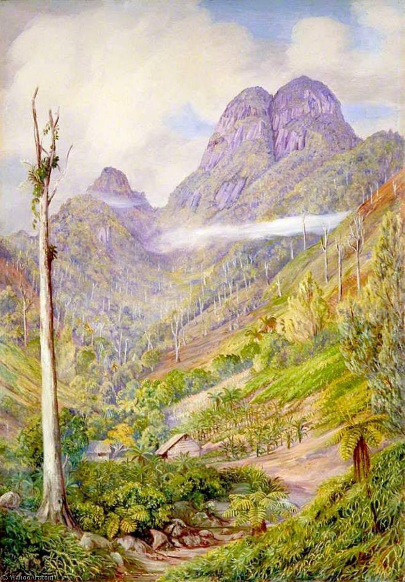 Wikioo.org - The Encyclopedia of Fine Arts - Painting, Artwork by Marianne North - The Highest Point in Mahé with Dead Capucin Trees in the Valley