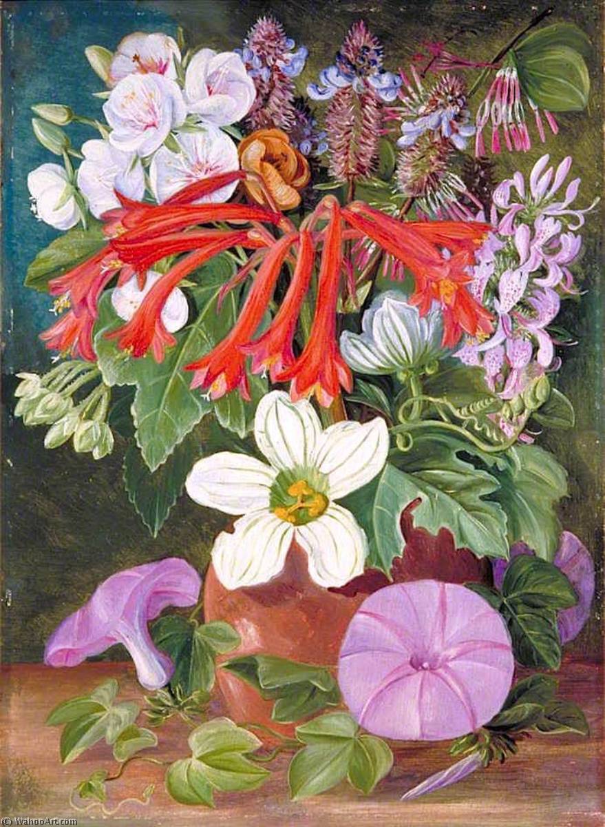 Wikioo.org - สารานุกรมวิจิตรศิลป์ - จิตรกรรม Marianne North - Group of Natal Flowers