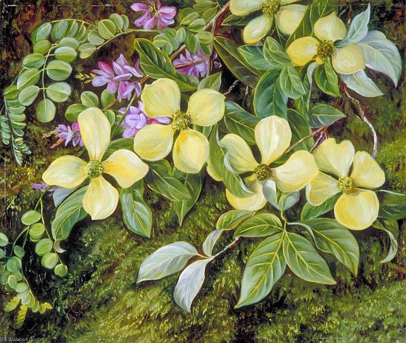 WikiOO.org - Enciklopedija dailės - Tapyba, meno kuriniai Marianne North - Flowers of a Dogwood and an Indigo from the Himalayas