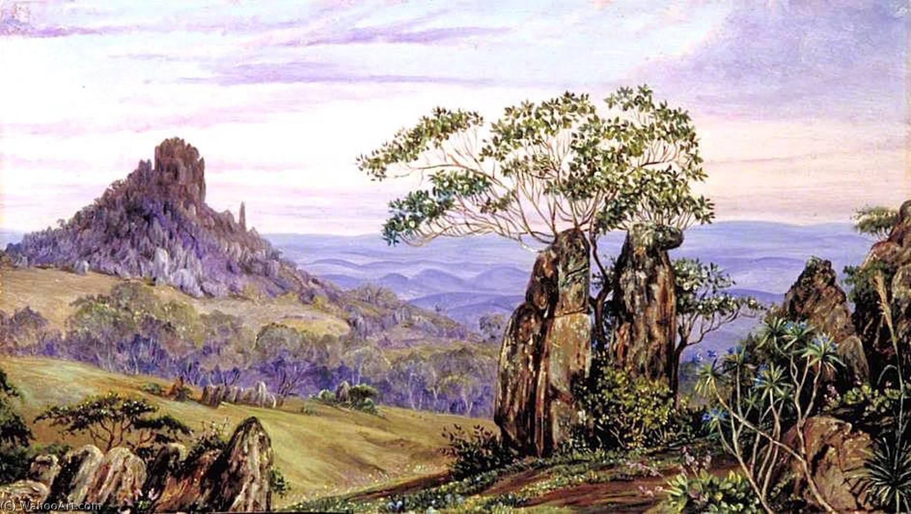 WikiOO.org - Encyclopedia of Fine Arts - Maalaus, taideteos Marianne North - The Iron Rocks of Casa Branca, Brazil