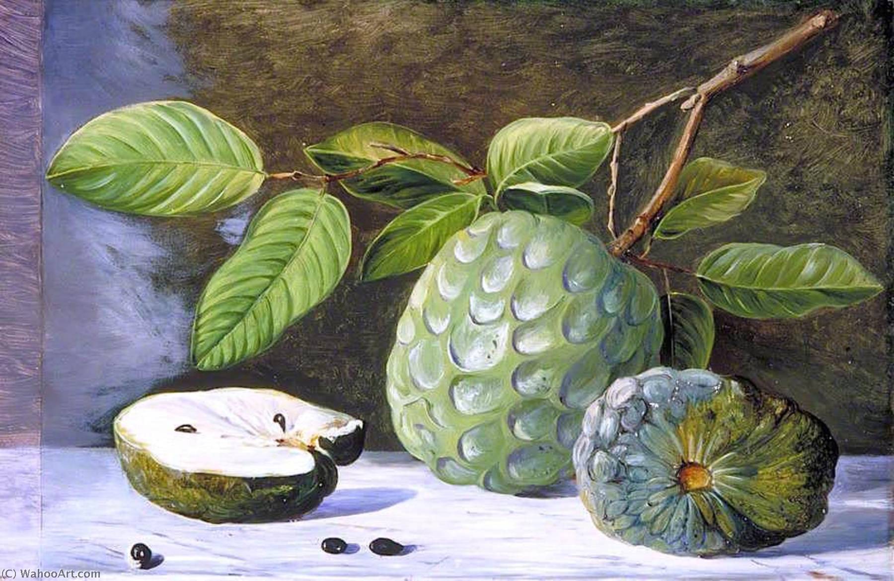 WikiOO.org - 백과 사전 - 회화, 삽화 Marianne North - Foliage and Fruit of the Cherimoyer