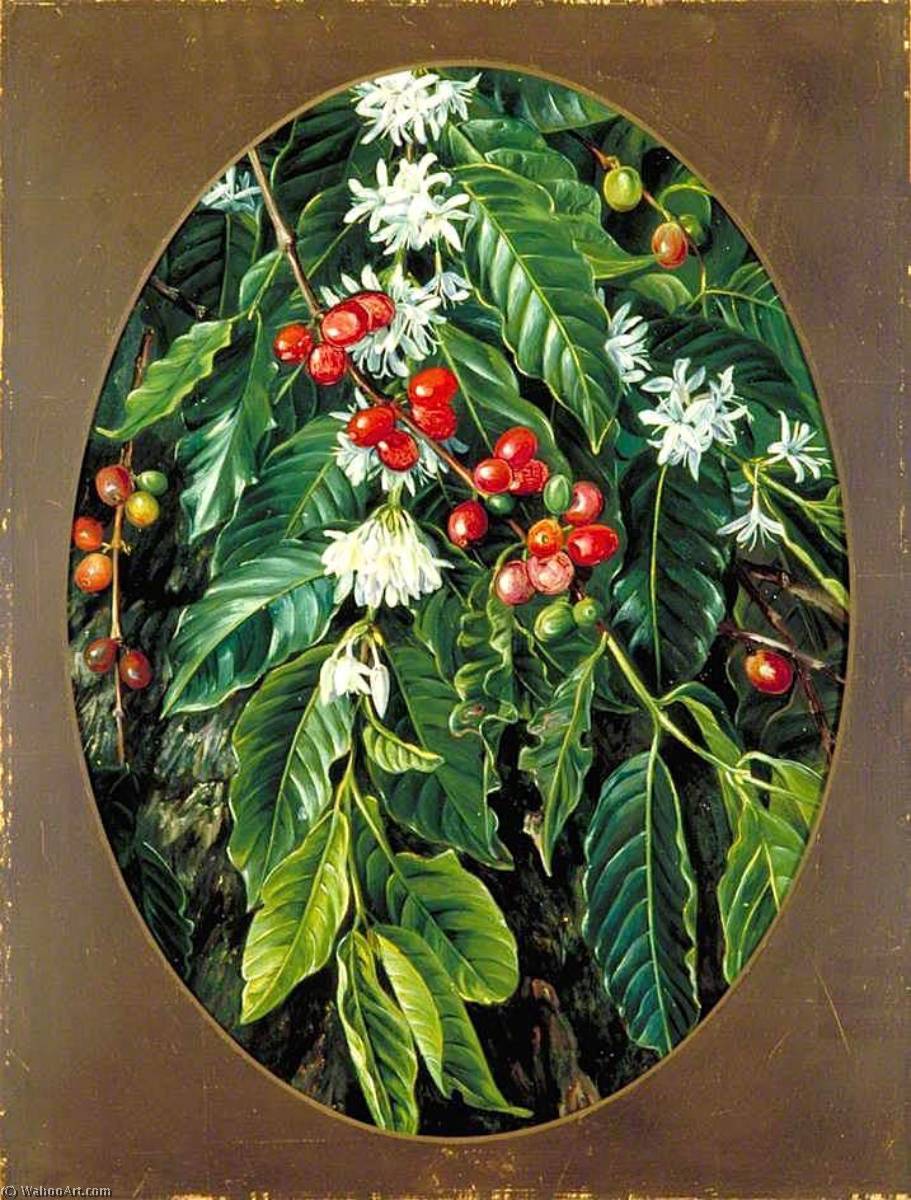 Wikioo.org - The Encyclopedia of Fine Arts - Painting, Artwork by Marianne North - Foliage, Flowers and Fruit of the Coffee, Jamaica