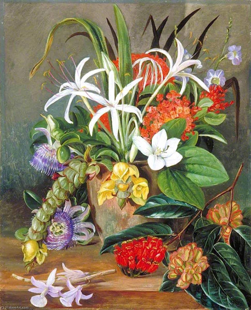 Wikioo.org – L'Enciclopedia delle Belle Arti - Pittura, Opere di Marianne North - gruppo di coltivato  fiori