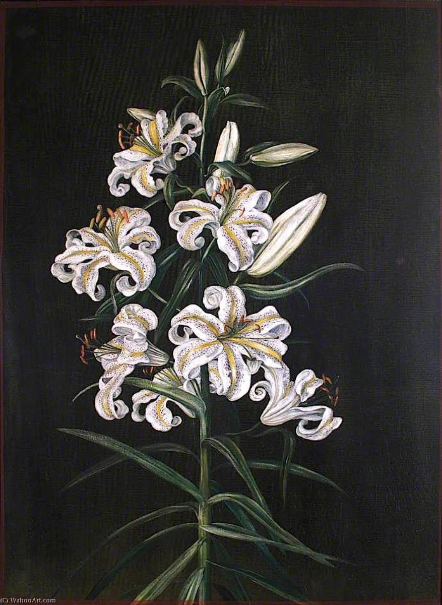 WikiOO.org - Encyclopedia of Fine Arts - Maľba, Artwork Marianne North - A Japanese Lily