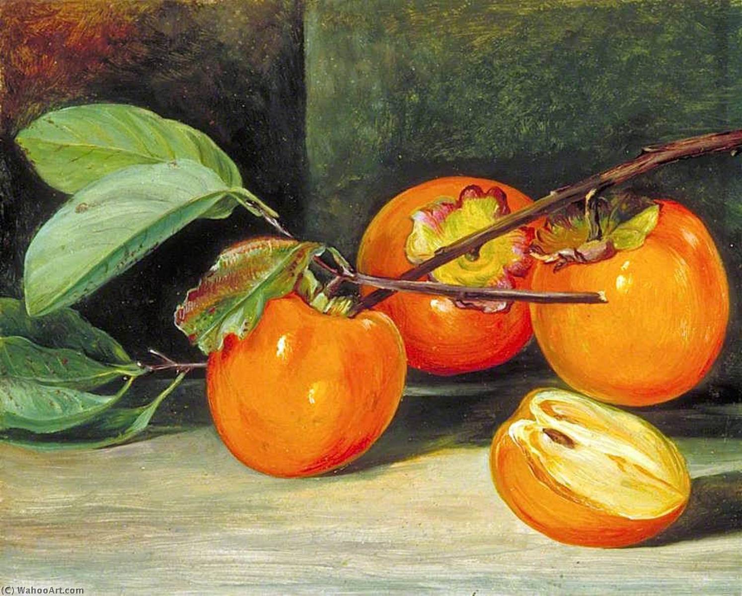 Wikioo.org - The Encyclopedia of Fine Arts - Painting, Artwork by Marianne North - Japanese Persimmon or Kaki Fruit