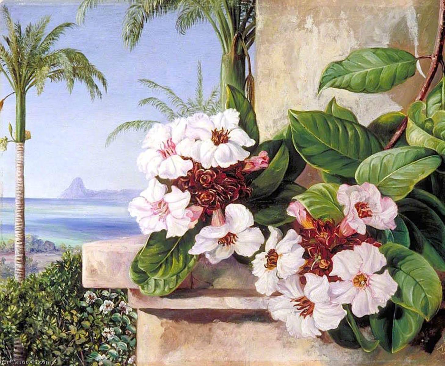 WikiOO.org - Güzel Sanatlar Ansiklopedisi - Resim, Resimler Marianne North - Foliage and Flowers of a Climbing Plant