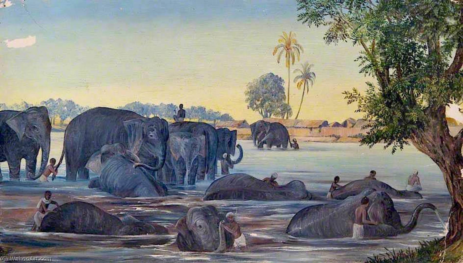 Wikoo.org - موسوعة الفنون الجميلة - اللوحة، العمل الفني Marianne North - Elephants