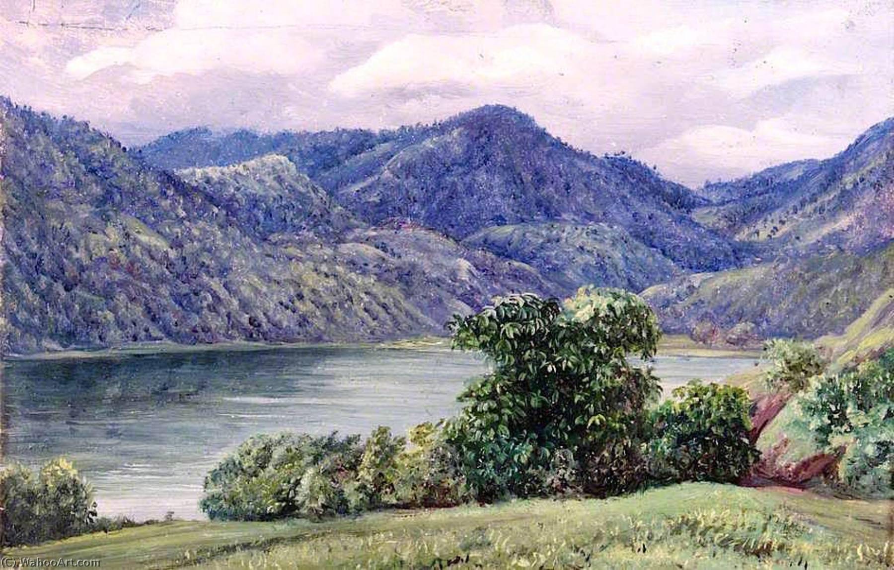 WikiOO.org - Encyclopedia of Fine Arts - Målning, konstverk Marianne North - Mr Moffat's Farm, Queensland
