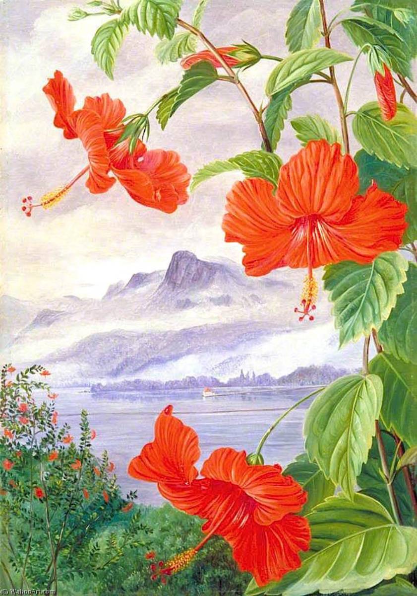 Wikioo.org - The Encyclopedia of Fine Arts - Painting, Artwork by Marianne North - Mandrinette and Mountain Home of the Pitcher Plant in the Distance