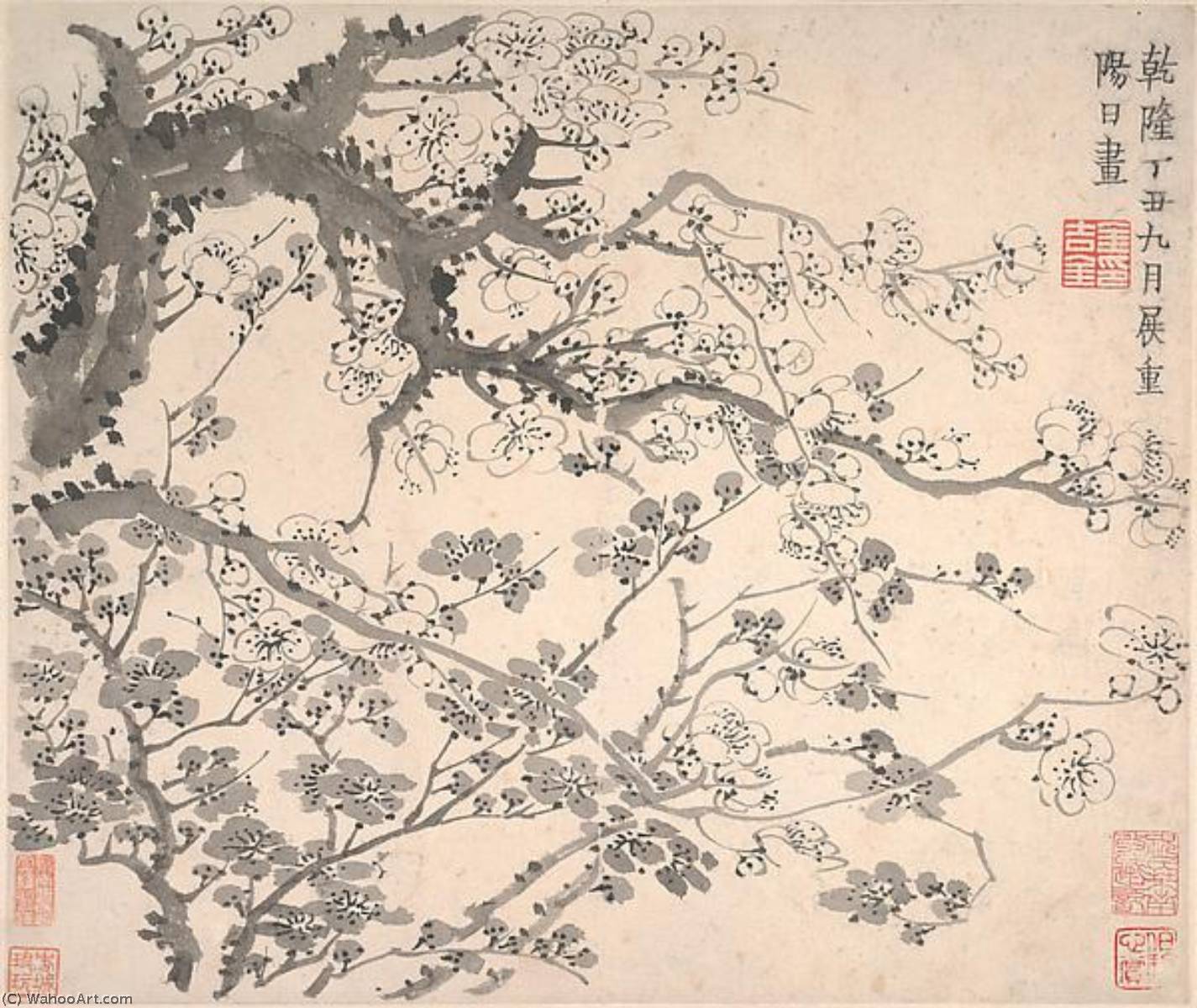 WikiOO.org - Encyclopedia of Fine Arts - Lukisan, Artwork Jin Nong - 清 金農 梅花圖 冊 Plum Blossoms
