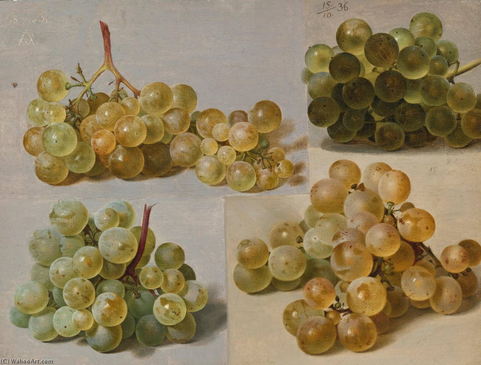 WikiOO.org - Encyclopedia of Fine Arts - Lukisan, Artwork Johann Wilhelm Preyer - Still life of grapes
