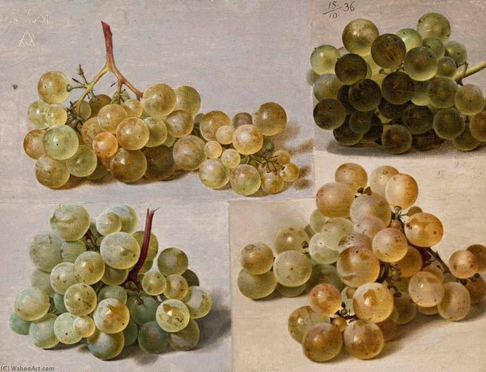 Wikioo.org - The Encyclopedia of Fine Arts - Painting, Artwork by Johann Wilhelm Preyer - Still Life of Grapes